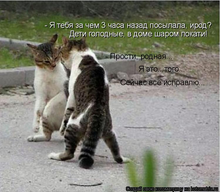 - Я тебя за чем 3 часа назад посылала, ирод? Дети голодные, в доме шаром покати! - Прости, родная... ... Котоматрица: - Я тебя за чем 3 часа назад посылала, ирод? Дети голодные, в доме шаром покати! - Прости, родная... Я это...того... Сейчас все исправлю...