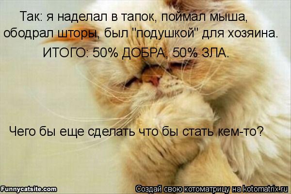 Так: я наделал в тапок, поймал мыша,
ободрал шторы, был "подушкой" для хозяина. ИТОГО: 50% ДОБРА, 5... Котоматрица: Так: я наделал в тапок, поймал мыша,
ободрал шторы, был "подушкой" для хозяина. ИТОГО: 50% ДОБРА, 50% ЗЛА. Чего бы еще сделать что бы стать кем-то?