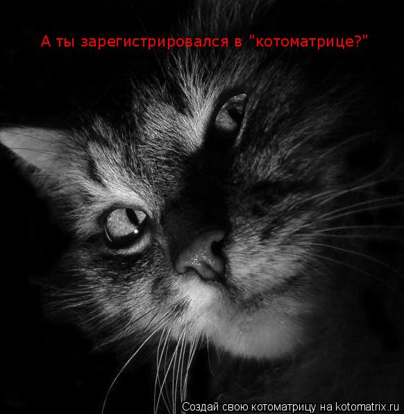 А ты зарегистрировался в "котоматрице?"... Котоматрица: А ты зарегистрировался в "котоматрице?"