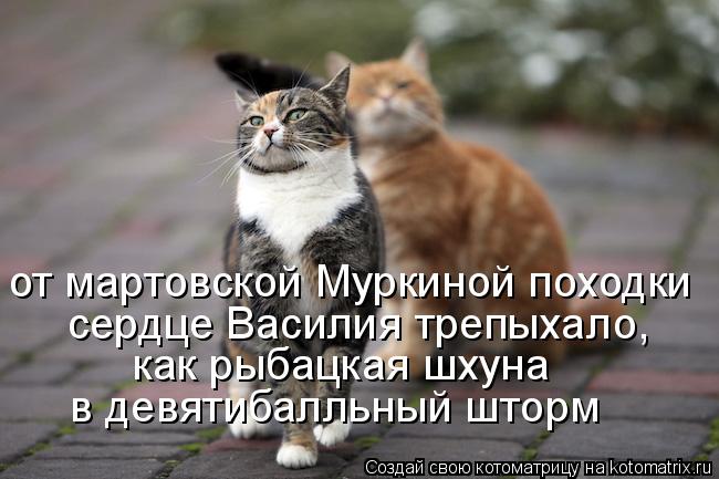 от мартовской Муркиной походки сердце Василия трeпыхало, как рыбацкая шхуна в девятибалльный шторм... Котоматрица: от мартовской Муркиной походки сердце Василия трeпыхало, как рыбацкая шхуна в девятибалльный шторм