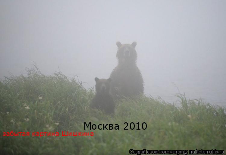Москва 2010 забытая картина Шишкина... Котоматрица: Москва 2010 забытая картина Шишкина