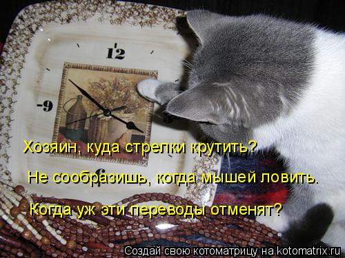 Хозяин, куда стрелки крутить? Не сообразишь, когда мышей ловить. Когда уж эти переводы отменят?... Котоматрица: Хозяин, куда стрелки крутить? Не сообразишь, когда мышей ловить. Когда уж эти переводы отменят?