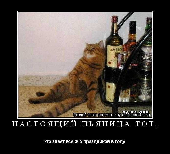 настоящий пьяница тот, кто знает все 365 праздников в году... Котоматрица: настоящий пьяница тот, кто знает все 365 праздников в году