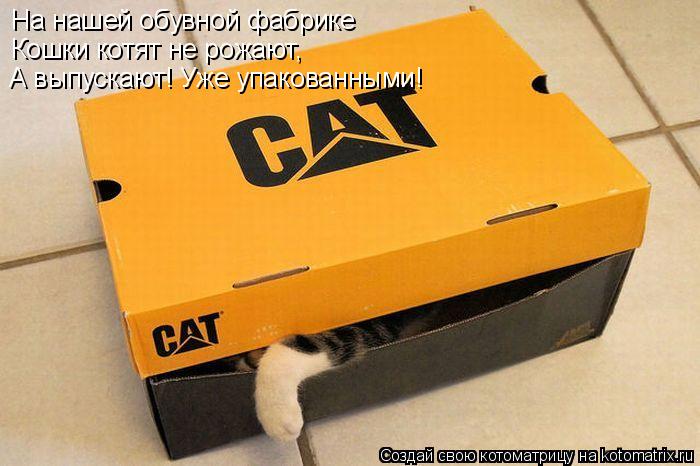 На нашей обувной фабрике Кошки котят не рожают, А выпускают! Уже упакованными!... Котоматрица: На нашей обувной фабрике Кошки котят не рожают, А выпускают! Уже упакованными!