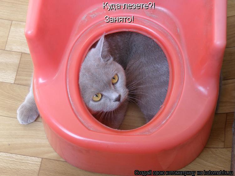 Занято! Куда лезете?!... Котоматрица: Занято! Куда лезете?!