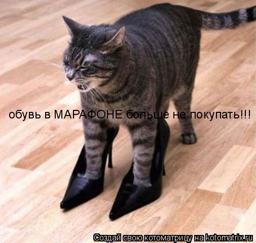 обувь в МАРАФОНЕ больше не покупать!!!... Котоматрица: обувь в МАРАФОНЕ больше не покупать!!!