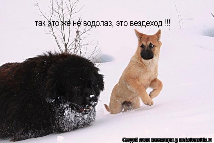 так это же не водолаз, это вездеход !!!... Котоматрица: так это же не водолаз, это вездеход !!!