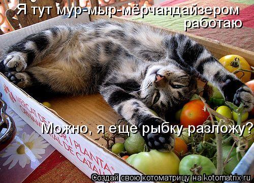 Я тут мур-мыр-мёрчандайзером работаю Можно, я еще рыбку разложу?... Котоматрица: Я тут мур-мыр-мёрчандайзером работаю Можно, я еще рыбку разложу?