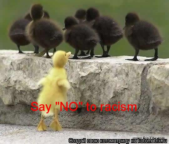 Say "NO" to racism... Котоматрица: Say "NO" to racism