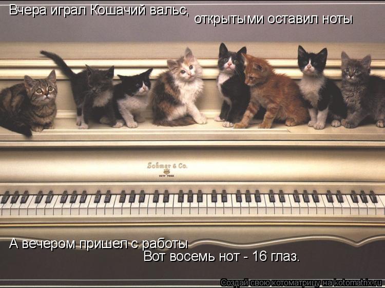 Вчера играл Кошачий вальс, открытыми оставил ноты А вечером пришел с работы Вот восемь нот - 16 глаз.... Котоматрица: Вчера играл Кошачий вальс, открытыми оставил ноты А вечером пришел с работы Вот восемь нот - 16 глаз.