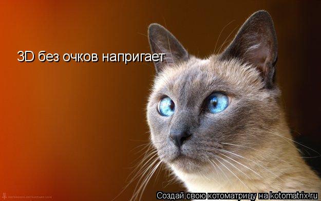 3D без очков напригает... Котоматрица: 3D без очков напригает
