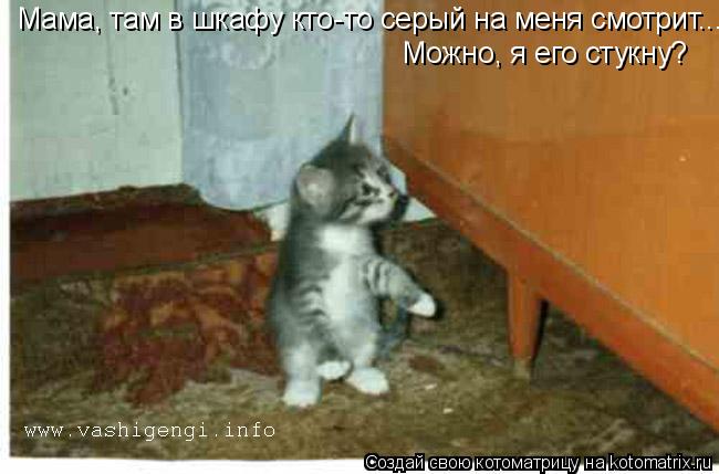 Мама, там в шкафу кто-то серый на меня смотрит... Можно, я его стукну?... Котоматрица: Мама, там в шкафу кто-то серый на меня смотрит... Можно, я его стукну?