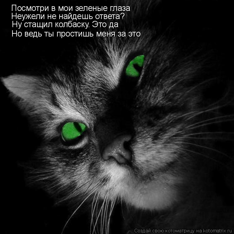 Посмотри в мои зеленые глаза Неужели не найдешь ответа? Ну стащил колбаску. Это да Но ведь ты простиш... Котоматрица: Посмотри в мои зеленые глаза Неужели не найдешь ответа? Ну стащил колбаску. Это да Но ведь ты простишь меня за это