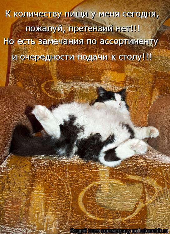 К количеству пищи у меня сегодня, пожалуй, претензий нет!!! и очередности подачи к столу!!! Но есть з... Котоматрица: К количеству пищи у меня сегодня, пожалуй, претензий нет!!! и очередности подачи к столу!!! Но есть замечания по ассортименту