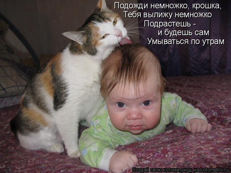 Подожди немножко, крошка, Тебя вылижу немножко Подрастешь - и будешь сам Умываться по утрам... Котоматрица: Подожди немножко, крошка, Тебя вылижу немножко Подрастешь - и будешь сам Умываться по утрам