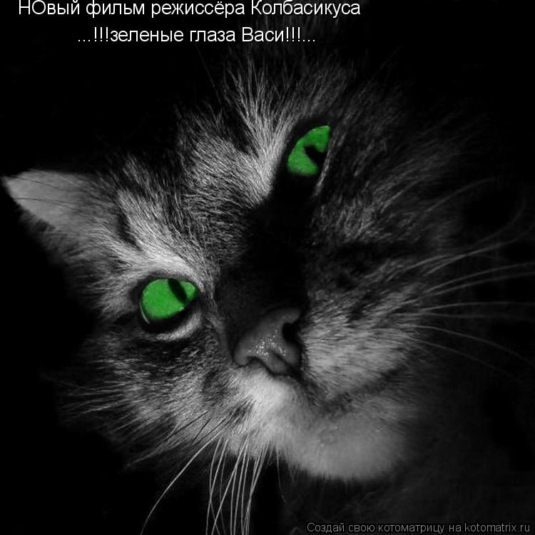 Котоматрица: НОвый фильм режиссёра Колбасикуса ...!!!зеленые глаза Васи!!!...