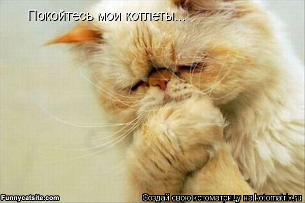 Котоматрица: Покойтесь мои котлеты...