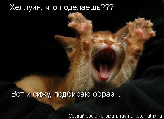 Хеллуин, что поделаешь??? Вот и сижу, подбираю образ...... Котоматрица: Хеллуин, что поделаешь??? Вот и сижу, подбираю образ...