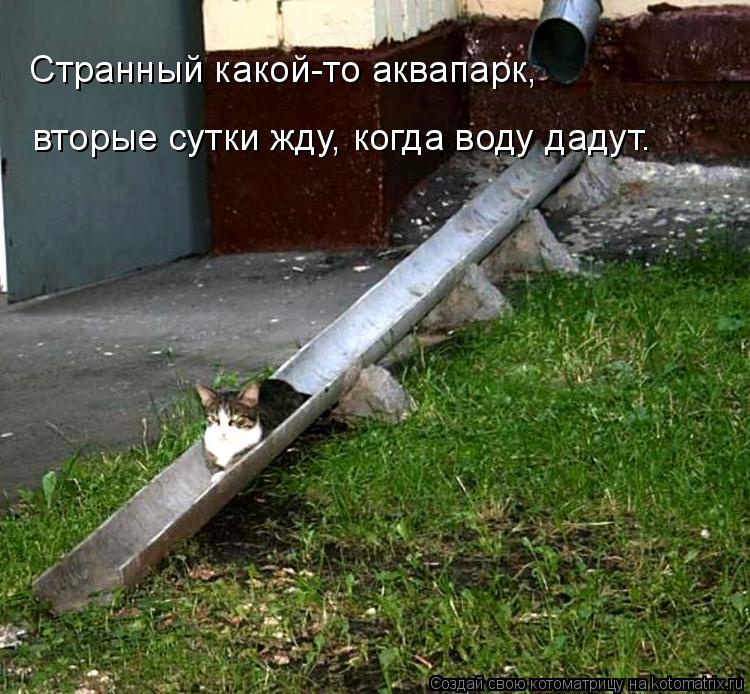 Странный какой-то аквапарк, вторые сутки жду, когда воду дадут.... Котоматрица: Странный какой-то аквапарк, вторые сутки жду, когда воду дадут.