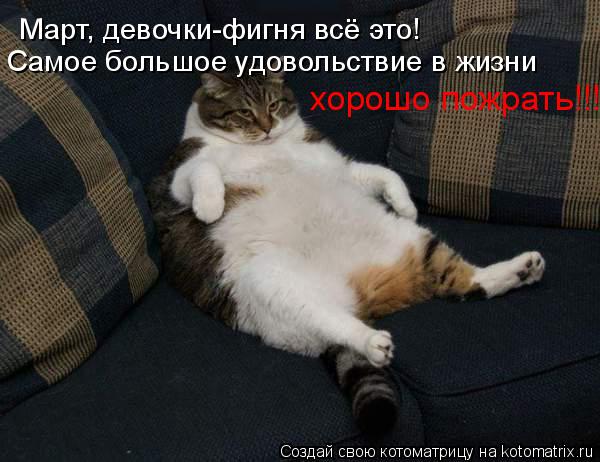 Март, девочки-фигня всё это! Самое большое удовольствие в жизни хорошо пожрать!!!... Котоматрица: Март, девочки-фигня всё это! Самое большое удовольствие в жизни хорошо пожрать!!!