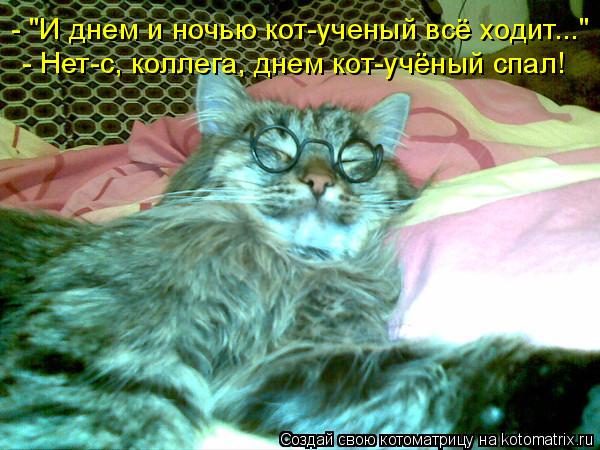 - "И днем и ночью кот-ученый всё ходит..." - Нет-с, коллега, днем кот-учёный спал!... Котоматрица: - "И днем и ночью кот-ученый всё ходит..." - Нет-с, коллега, днем кот-учёный спал!