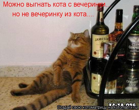 Можно выгнать кота с вечеринки... но не вечеринку из кота....... Котоматрица: Можно выгнать кота с вечеринки... но не вечеринку из кота....