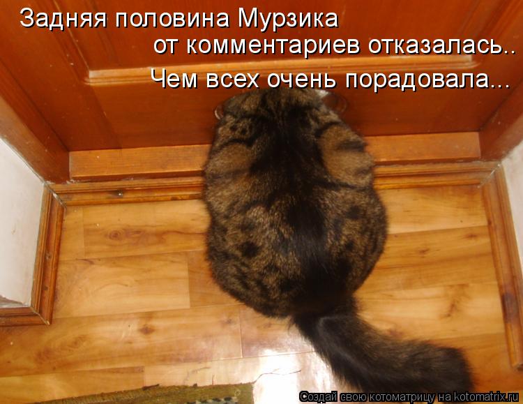 Задняя половина Мурзика от комментариев отказалась.. Чем всех очень порадовала...... Котоматрица: Задняя половина Мурзика от комментариев отказалась.. Чем всех очень порадовала...