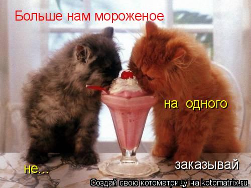 Больше нам мороженое на одного заказывай не...... Котоматрица: Больше нам мороженое на одного заказывай не...