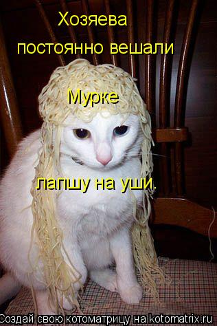 Хозяева постоянно вешали Мурке лапшу на уши.... Котоматрица: Хозяева постоянно вешали Мурке лапшу на уши.