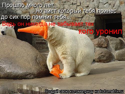 Прошло много лет... но аист который тебя принес до сих пор помнит тебя... Ведь он никогда не забывае... Котоматрица: Прошло много лет... но аист который тебя принес до сих пор помнит тебя... Ведь он никогда не забывает тех кого уронил