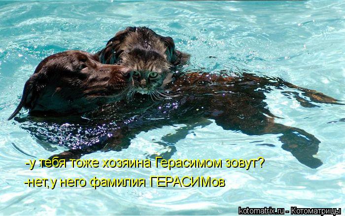 -у тебя тоже хозяина Герасимом зовут? -нет,у него фамилия ГЕРАСИМов... Котоматрица: -у тебя тоже хозяина Герасимом зовут? -нет,у него фамилия ГЕРАСИМов