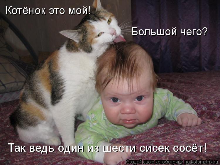 Котёнок это мой! Большой чего? Так ведь один из шести сисек сосёт!... Котоматрица: Котёнок это мой! Большой чего? Так ведь один из шести сисек сосёт!