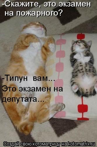 Котоматрица: -Скажите, это экзамен  на пожарного? -Типун  вам... Это экзамен на  депутата...