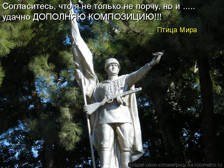 Согласитесь, что я не только не порчу, но и ..... удачно ДОПОЛНЯЮ КОМПОЗИЦИЮ!!! Птица Мира... Котоматрица: Согласитесь, что я не только не порчу, но и ..... удачно ДОПОЛНЯЮ КОМПОЗИЦИЮ!!! Птица Мира