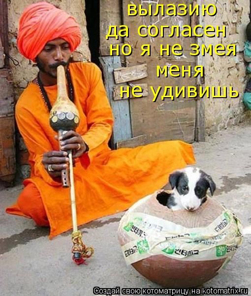 вылазию да согласен но я не змея меня не удивишь... Котоматрица: вылазию да согласен но я не змея меня не удивишь