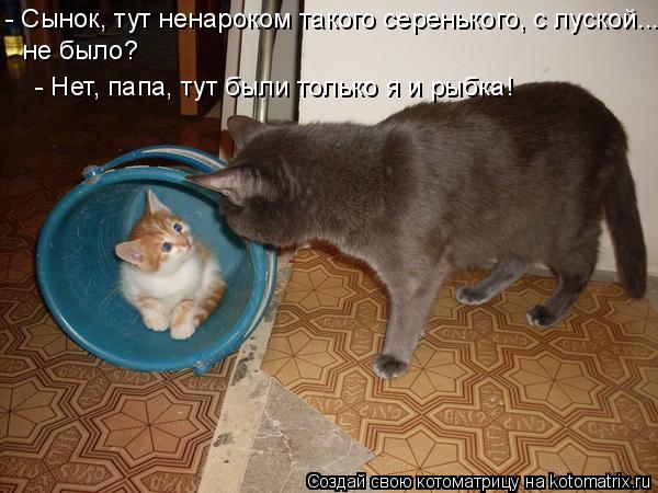 - Сынок, тут ненароком такого серенького, с луской... не было? - Нет, папа, тут были только я и рыбка... Котоматрица: - Сынок, тут ненароком такого серенького, с луской... не было? - Нет, папа, тут были только я и рыбка!