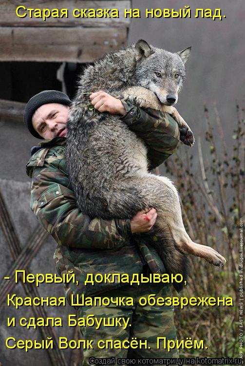 Старая сказка на новый лад. - Первый, докладываю, Красная Шапочка обезврежена и сдала Бабушку. Серый ... Котоматрица: Старая сказка на новый лад. - Первый, докладываю, Красная Шапочка обезврежена и сдала Бабушку. Серый Волк спасён. Приём.