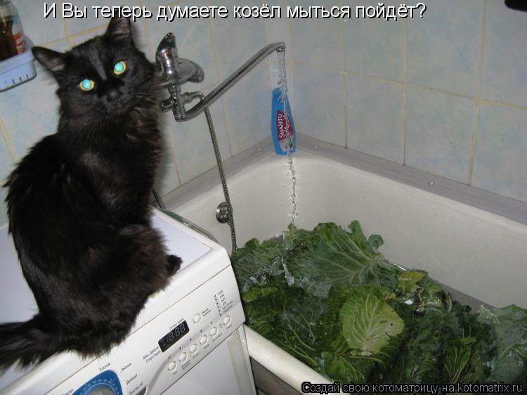 И Вы теперь думаете козёл мыться пойдёт?... Котоматрица: И Вы теперь думаете козёл мыться пойдёт?