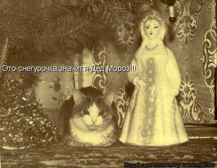 Это-снегурочка,значит,я-Дед Мороз!!!... Котоматрица: Это-снегурочка,значит,я-Дед Мороз!!!