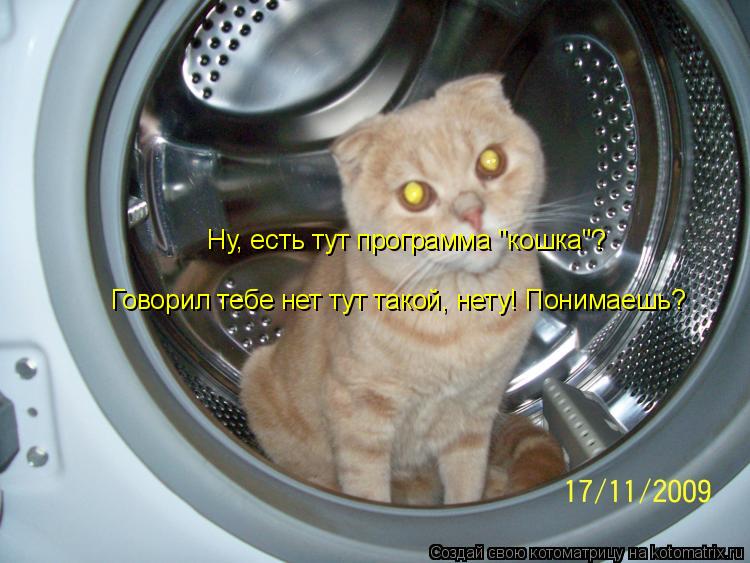 Ну, есть тут программа "кошка"? Говорил тебе нет тут такой, нету! Понимаешь?... Котоматрица: Ну, есть тут программа "кошка"? Говорил тебе нет тут такой, нету! Понимаешь?
