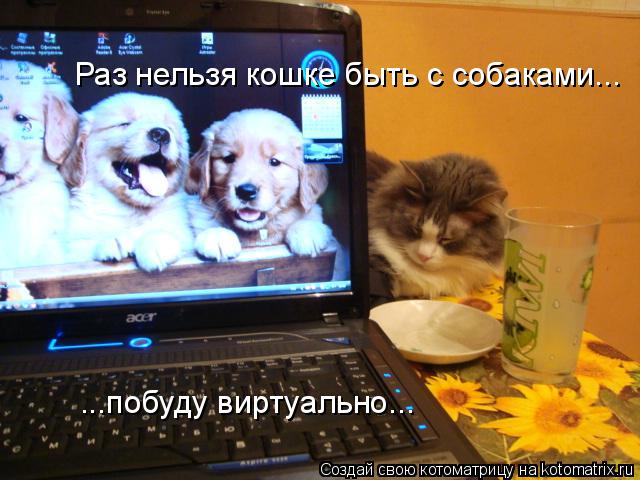 Раз нельзя кошке быть с собаками... ...побуду виртуально...... Котоматрица: Раз нельзя кошке быть с собаками... ...побуду виртуально...
