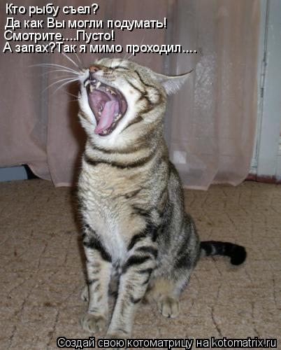 Кто рыбу съел? Да как Вы могли подумать! Смотрите....Пусто! А запах?Так я мимо проходил....... Котоматрица: Кто рыбу съел? Да как Вы могли подумать! Смотрите....Пусто! А запах?Так я мимо проходил....