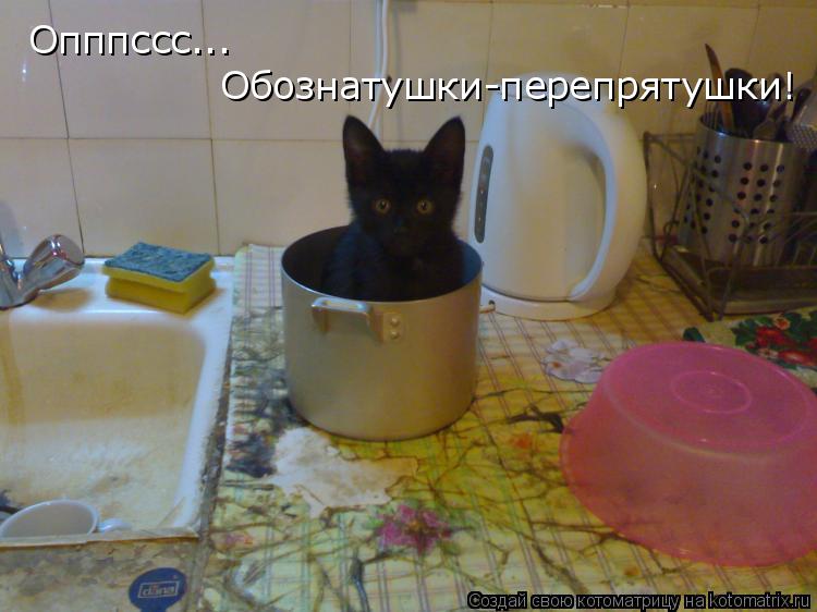 Опппссс... Обознатушки-перепрятушки!... Котоматрица: Опппссс... Обознатушки-перепрятушки!