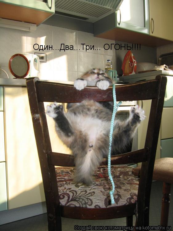 Один...Два...Три... ОГОНЬ!!!!... Котоматрица: Один...Два...Три... ОГОНЬ!!!!