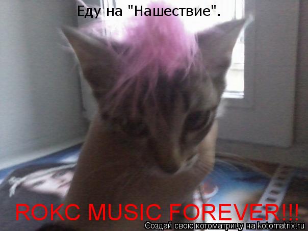 Еду на "Нашествие". ROKC MUSIC FOREVER!!!... Котоматрица: Еду на "Нашествие". ROKC MUSIC FOREVER!!!