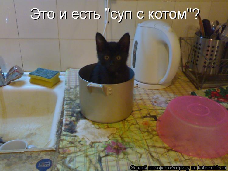 Это и есть "суп с котом"?... Котоматрица: Это и есть "суп с котом"?
