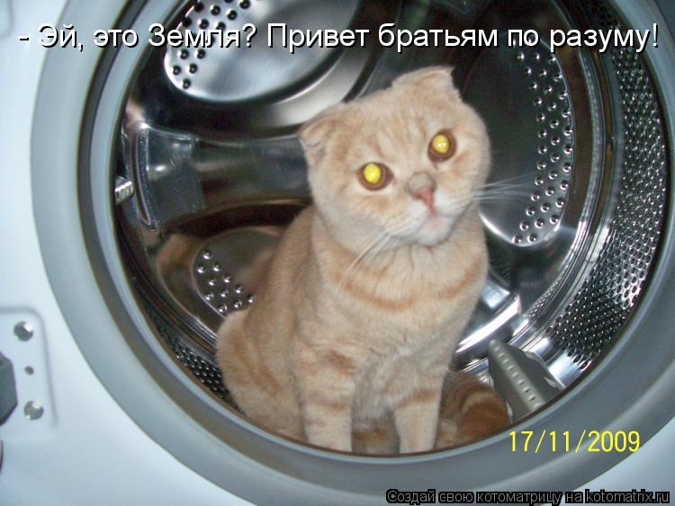 - Эй, это Земля? Привет братьям по разуму!... Котоматрица: - Эй, это Земля? Привет братьям по разуму!