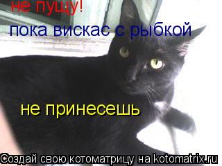 не пущу! пока вискас с рыбкой не принесешь... Котоматрица: не пущу! пока вискас с рыбкой не принесешь