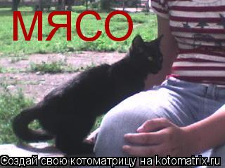 МЯСО... Котоматрица: МЯСО