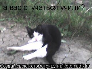 а вас стучаться учили?... Котоматрица: а вас стучаться учили?